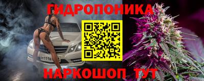 стафф Сланцы